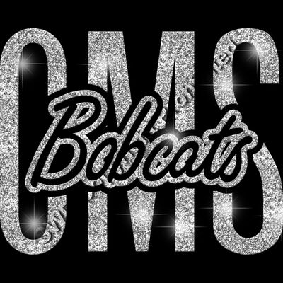 GLT95 SILVER GLITTER Thumbnail